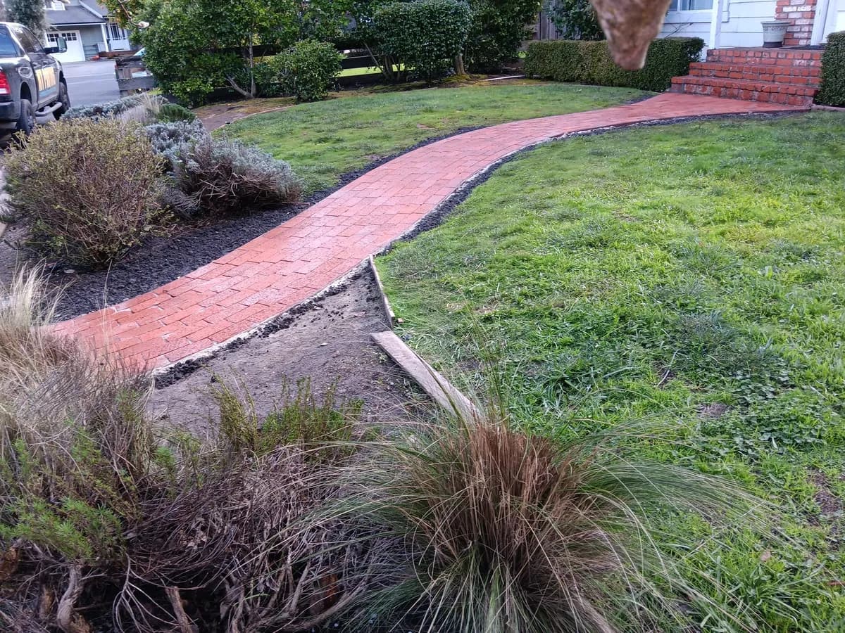 Straight & Formal Paths